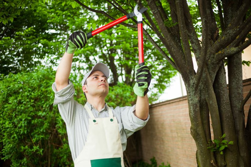 Specialized Pruning Services